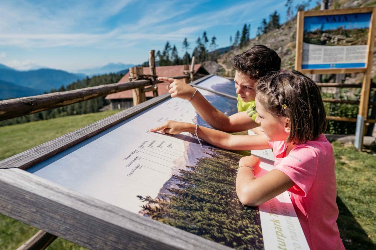 Michlhaus Nature And Suites 阿尔迪诺 外观 照片